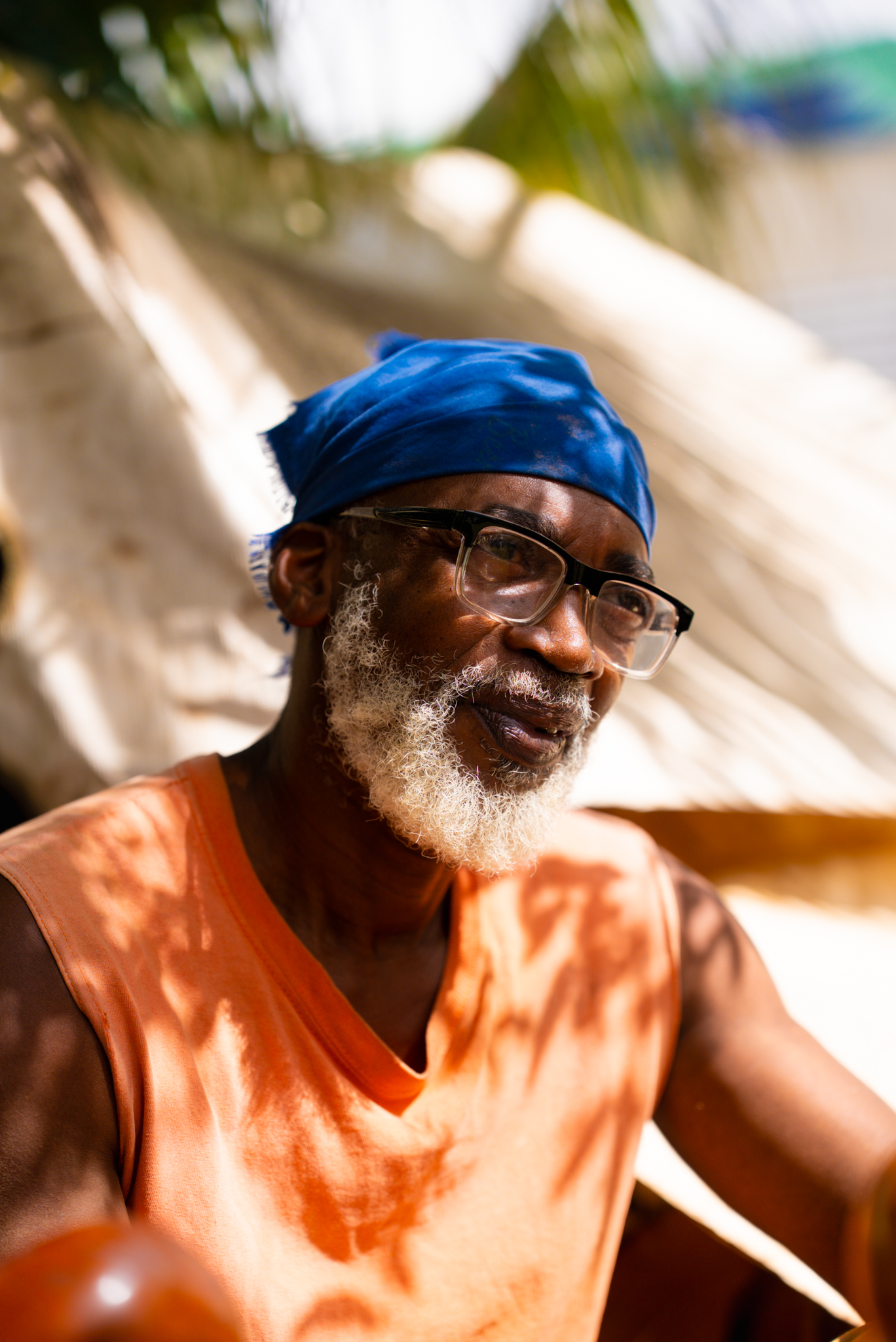 Artwork by Rawle Buju Ross